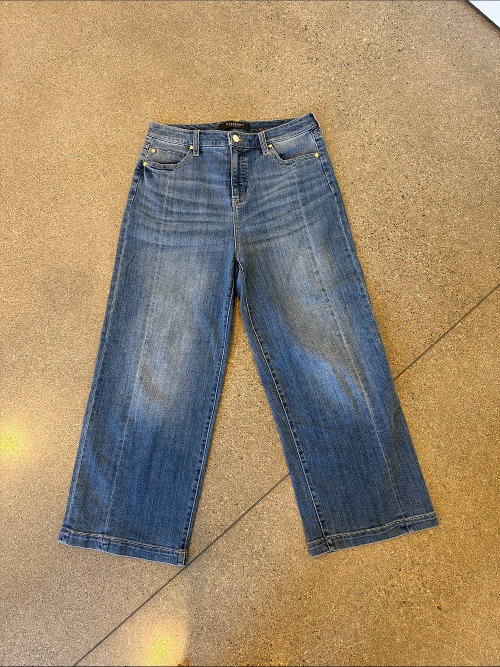 Liverpool Wide Leg Denim Jeans in Blue